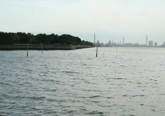 木更津港の写真