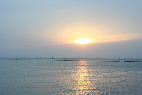 木更津港の釣り場