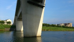 ブラックバスポイント